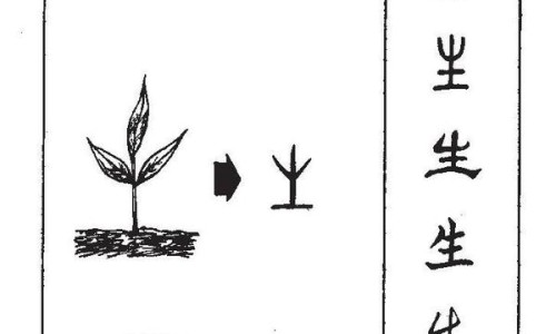 中医和中药学有什么区别-中医和中药的英文、中医和中药的英文 -中医和中药网
